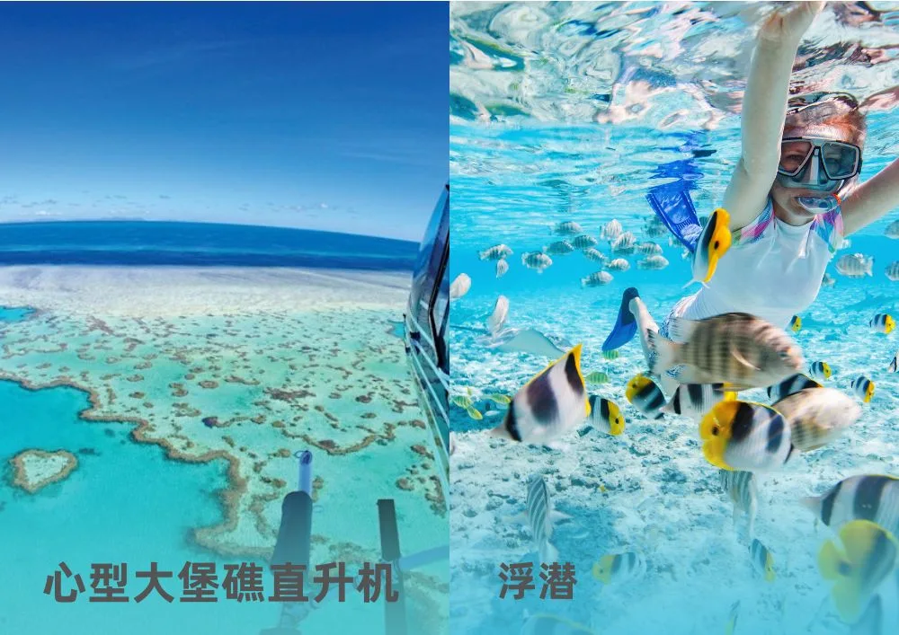 WSIFCG心型大堡礁直升机+游船一日游(飞去船回船去飞回) 汉密尔顿岛出发 Attraction.jpg