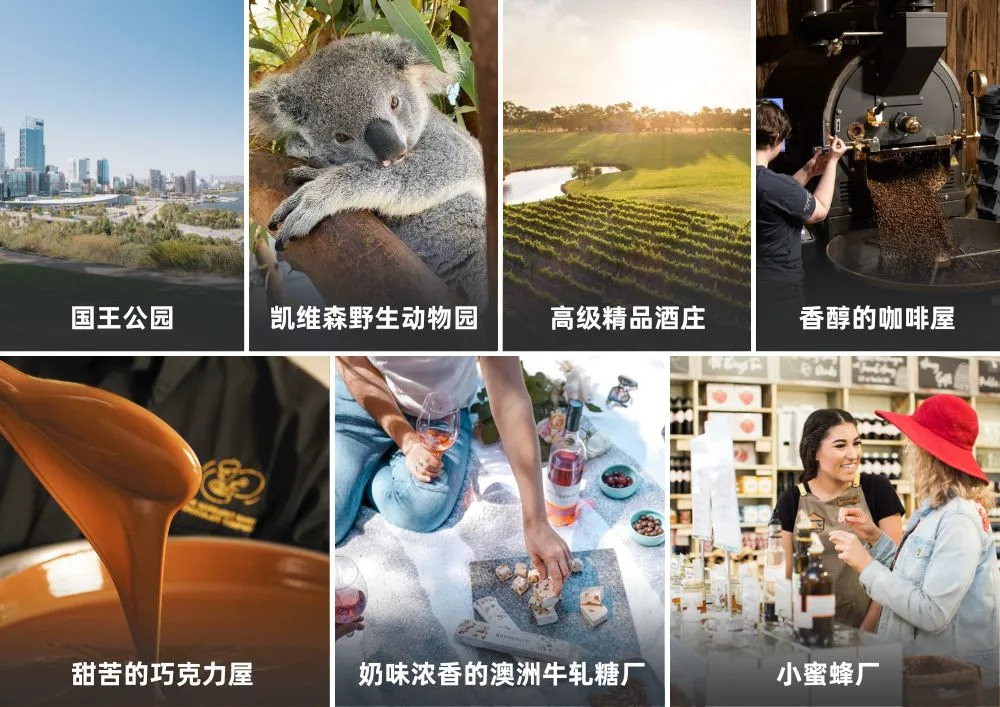 PERSWD天鹅谷美食品质一日游 Attractions.jpg