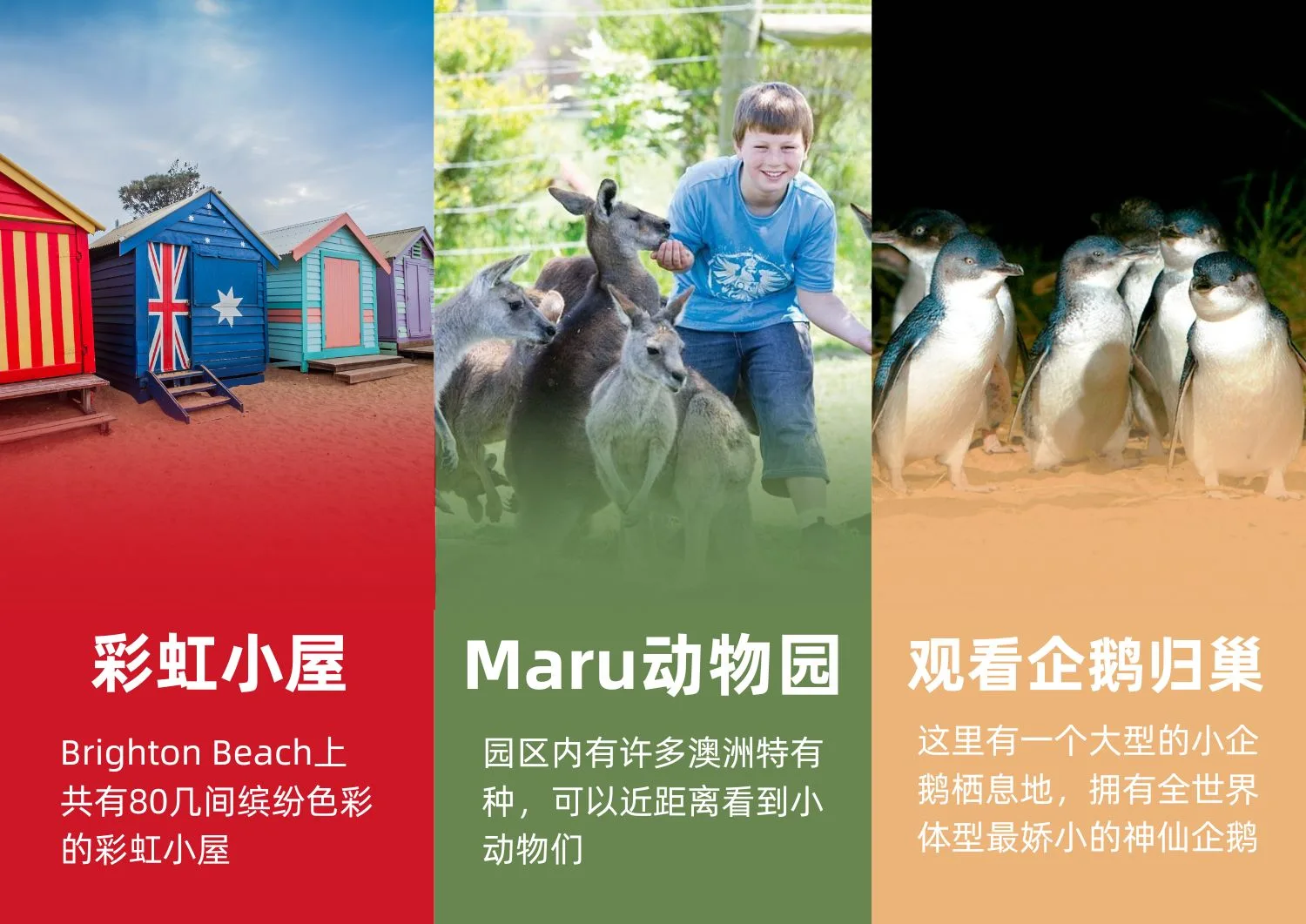 MELPBI 彩虹小屋 & 企鹅岛一日游 【天天出发】Attraction List  (1).jpg