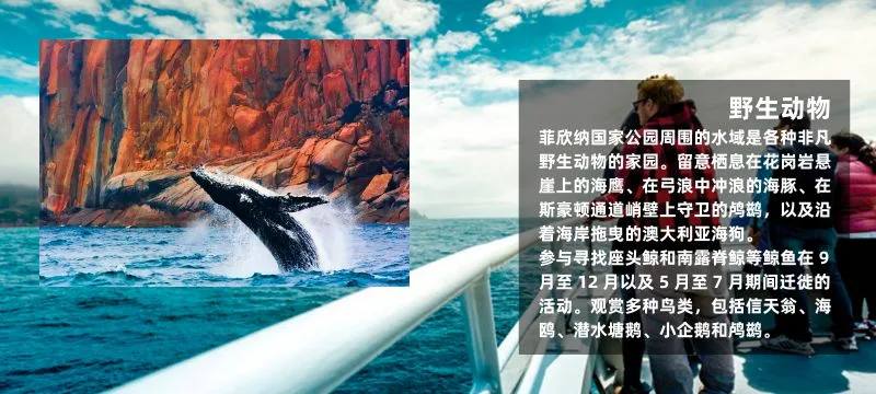 产品简介.jpg