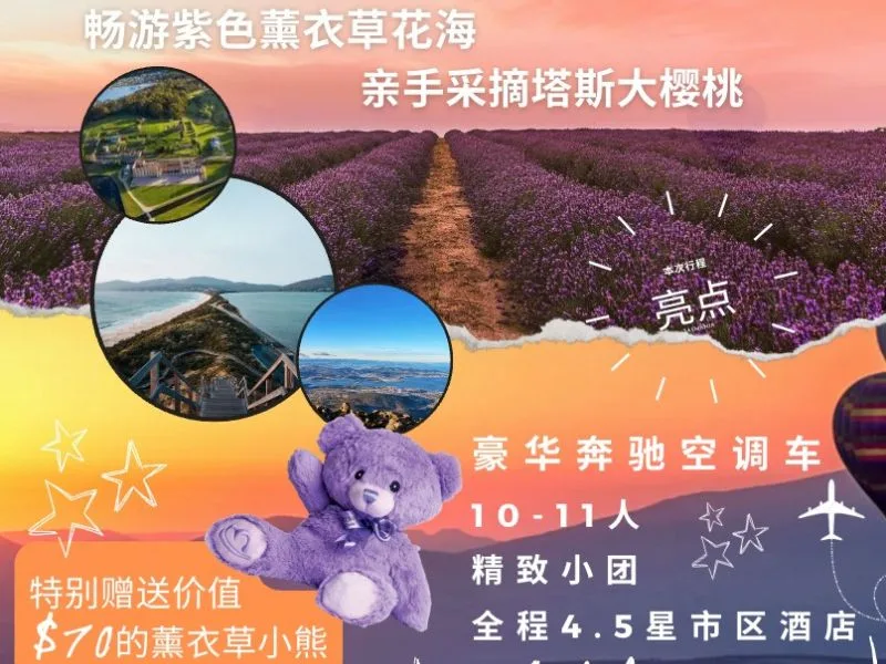 网站产品封面.jpg