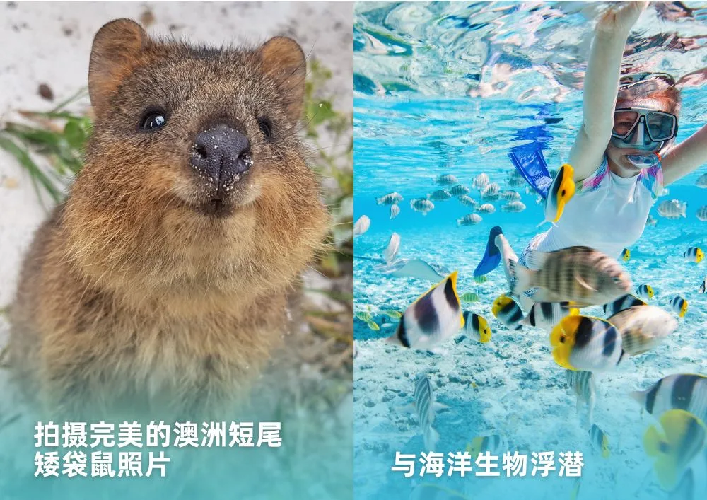 PERROT罗特尼斯岛一日游 Attraction.jpg