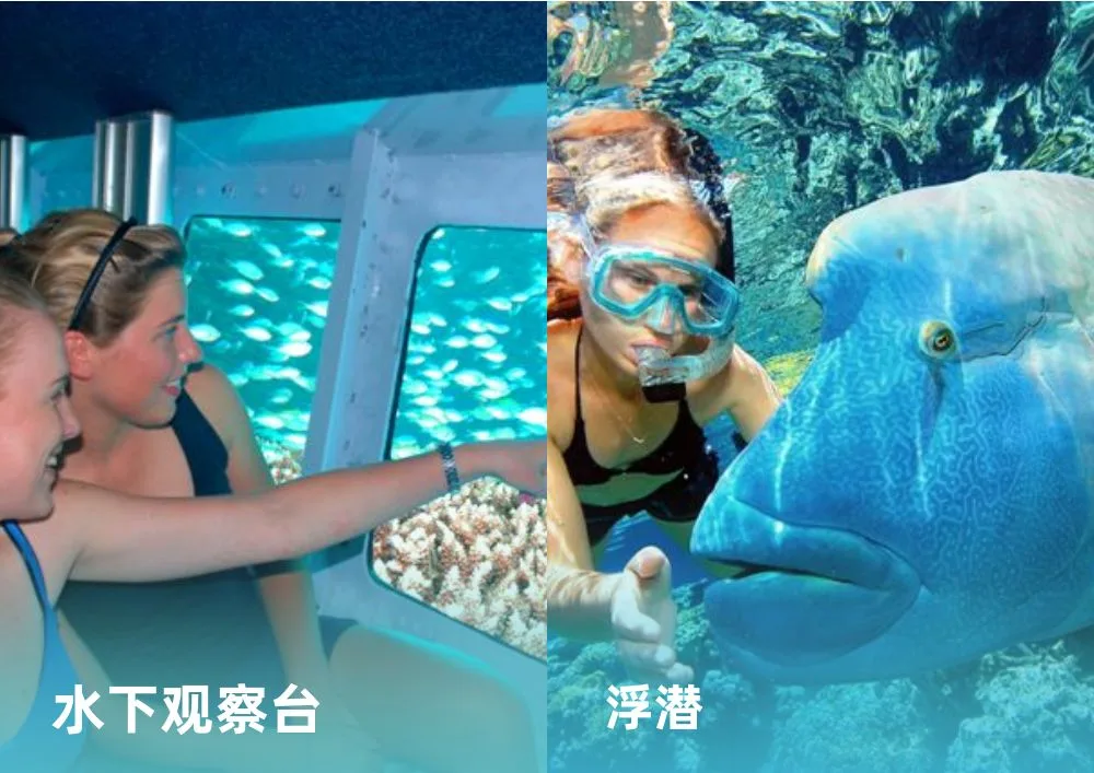 CNSGBR01【梦幻丽礁号 Reef Magic】凯恩斯摩尔大堡礁一日游 Attractions.jpg