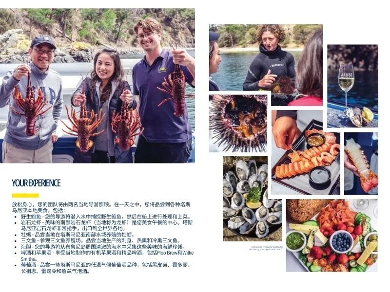 网站产品封面.jpg